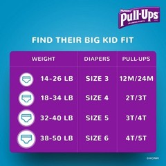 Female Toddler Training Pants Pull-Ups® Learning Designs® for Girls Size 4T to 5