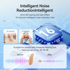 TE201 OTC Hearing Aids for Seniors Rechargeable 40H Battery Life Clear Sound