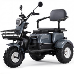 3-Wheel Mobility Scooter 1350W 60V 20AH 25 Miles 3-Seater Family electric trike
