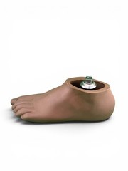 Ohio Willow Wood Sach prosthetic foot w/ titanium pyramid. Left. Size 29