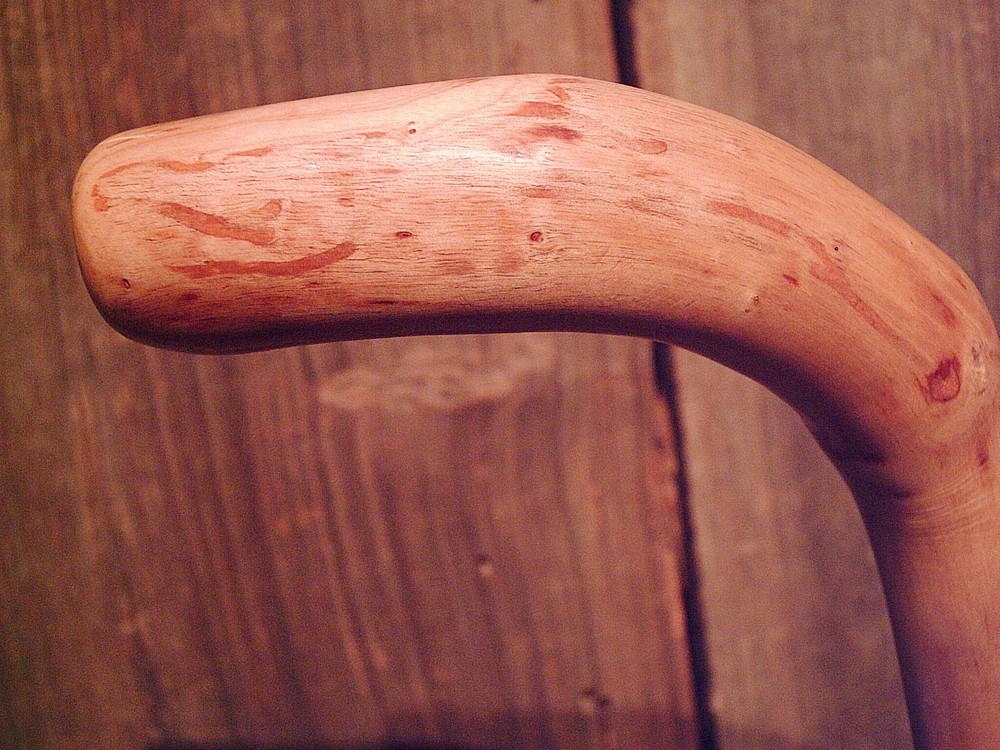 walking stick cane natural grown ROOT HANDLE for average size hands MADE IN USA