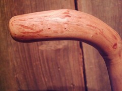 walking stick cane natural grown ROOT HANDLE for average size hands MADE IN USA