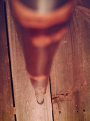 walking stick T handle NATURAL GROWN birch for average sized hands MADE IN USA