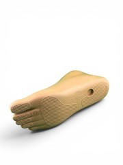 OTTOBOCK Otto Bock 1WR95 Water Prosthetic Foot. Size 25. Right Foot. Excellent