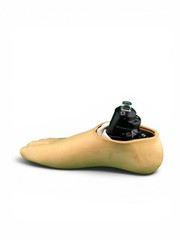 Blatchford echelon hydraulic ankle prosthetic foot. Size 29. Category 6. Right