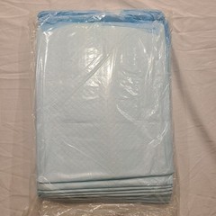 Secure Personal Care Underpads 30×30″ Disposable 10-Count (SP113010)