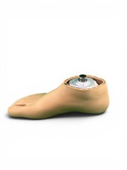 OTTOBOCK Otto Bock 1D10 sach Prosthetic Foot. Size 27. Right Foot.