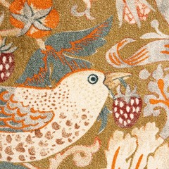 Creative Co-Op Cotton Velvet 24 inches x 16 x 0.5 inches, Multicolor