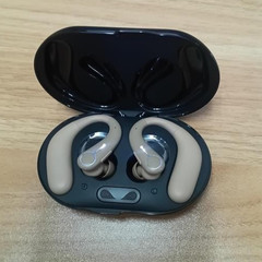 Royal Hearing Bluetooth hearing Aid
