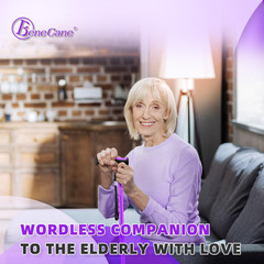 Walking Cane for Seniors Lightweight Adjustable Collapsible Sturdy with Soft TPR
