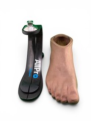Fillauer Allpro All Pro Prosthetic Foot. Size 27. Category D7. Great condition