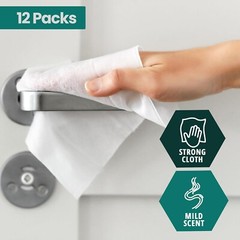 Disposable XL Premoistened Washcloths 600-count, 8″ x 12″ for Adults| Silky S…