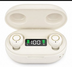 Rechargeable Digital Hearing Aids Noise Cancelling Severe Loss Sound Amplifier