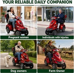 4-Wheel Electric Mobility Scooter 1000W 60V 20Ah 15.53mph for Adults & Seniors