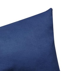 Marrywindix Tiny Pillow 2 Pack Small Decorative 9.5 x 5.5 inches, Blue