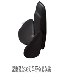 EXGEL Lumbar Support Back Cushion for Driving Car Seat HUD01-BK From Japan New