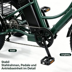 Daibot 750W 48V 24Inch Electric Trike Adult 7Speed Removable Battery Fat Tire