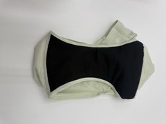 Women’s Washable Incontinence Underwear Small Multicolor Leak Proof Briefs