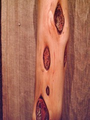 diamond willow walking stick STAG ANTLER handle cane custom made cane in the USA