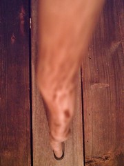 walking stick cane natural grown ROOT HANDLE for average size hands MADE IN USA