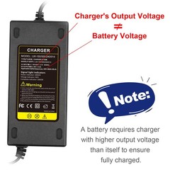 24V 5A 3-Pin Male XLR Connector Battery Charger for Lakematic, Pride Black