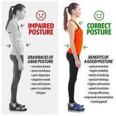 Posture Corrector for Men and Women, Regular (Chest Size 32-43 Inches)