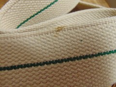 Posey Gait & Transfer Belt No. 6556 Cream & Green Stripe 60″ x 2″