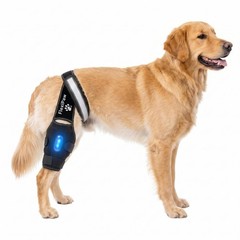 Dog Knee Brace for Torn ACL & CCL, Luxating Patella Support, Cold Therapy, Stabi