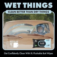Refreshing Flushable Wipes with Aloe Vera – Medicated Relief Everyone Needs