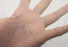 ELEGANTLIFE 21 Disposable Regular Nylon Breathable Honeycomb Hair Nets, package