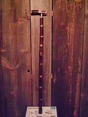 walking stick T handle NATURAL GROWN birch for average sized hands MADE IN USA