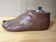 WillowWood SACH Prosthetic Foot with Integrated Titanium Pyramid 25cm