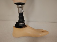 Trulife Prosthetic Limb Leg W/ Sz 28 Left Foot AAA210 AAA200 3151B Ti 231436AL