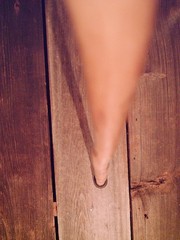 walking stick cane natural grown ROOT HANDLE for average size hands MADE IN USA