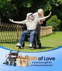 Walkers for Seniors Z59, 2 in 1 Walker Wheelchair Combo, 400 LBS Weight Capacity