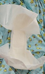 Egosan Maxi Adult Diaper From Italy 2 Sample