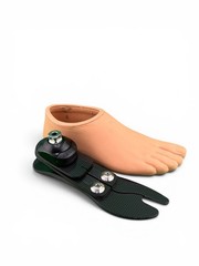 ossur pro-flex Proflex LP prosthetic foot, size 24, category 4, right
