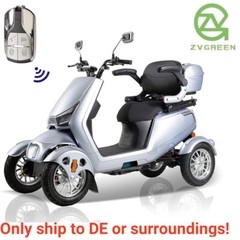 4 Wheels Electric Mobility Scooter 800W 60V 20AH Battery Motor for Adult Senior
