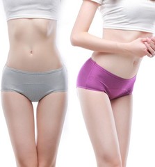 Menopausal Incontinence Underwear Brief Menstrual Period Leakproof Panties