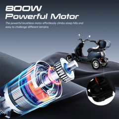 800W 4 Wheel Mobility Scooter 60V 20AH battery Motor for Adult Senior
