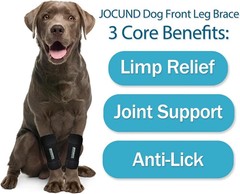 Dog Front Leg Brace, Pair of Brace with Metal S/M (1 Pair), Black