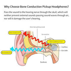 Noise-canceling bone conduction hearing aids with independent pickup box