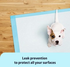 Dynarex 23 x 36 inch Underpads – 50 Count