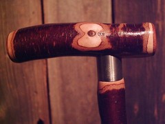walking stick T handle NATURAL GROWN birch for average sized hands MADE IN USA