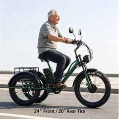 Daibot 750W 48V 24Inch Electric Trike Adult 7Speed Removable Battery Fat Tire