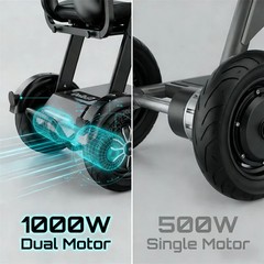Folding Electric Mobility Scooter 1000W 48V 3 Wheel Electric Scooter Dual Motor