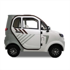 1500W 4 Wheel Fully Enclosed Mobility Scooter Car 3-Speed 40 mile 660lb Capatity