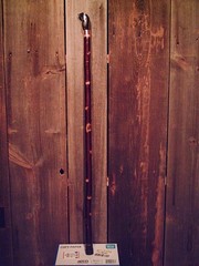 walking stick ELK HOOVE HANDLE red birch wood shaft custom made in the USA NEW