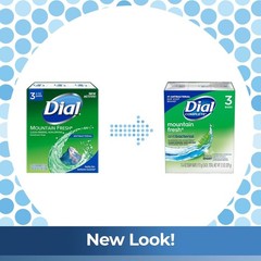 Dial Mountain Fresh Antibacterial Deodorant Bar Soap 3 4 Oz Soap Bars Packs Of 6