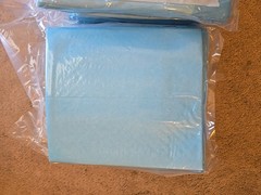 Secure Personal Care Underpads 23″ X 36″ SP13150 12 PACKS =120 Pads Sealed